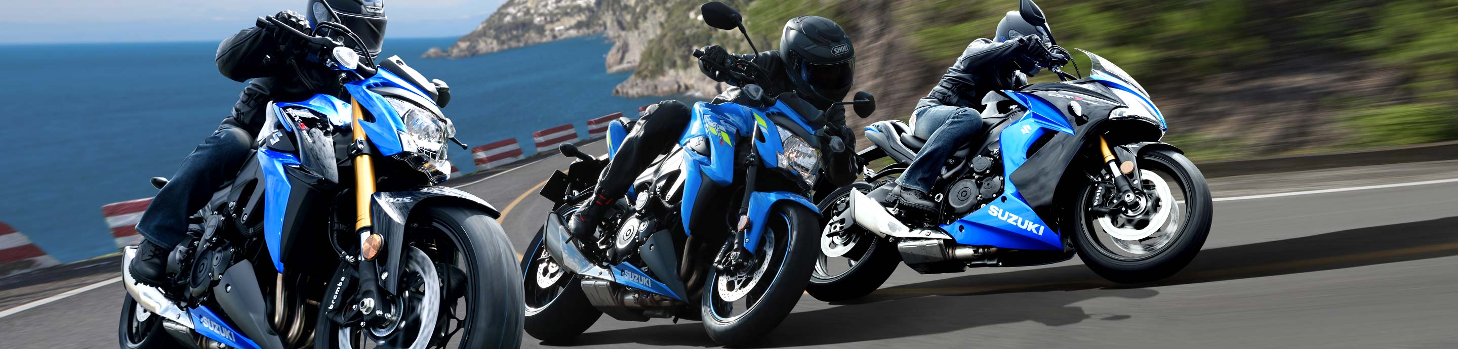 Carenados Suzuki GSXR 1000